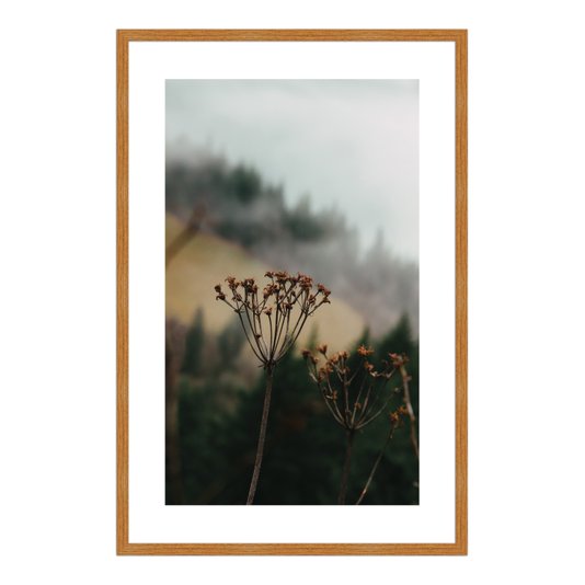Quadro Decorativo Natureza Minimalista Flores