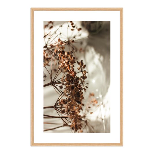 Quadro Decorativo Natureza Minimalista Flores