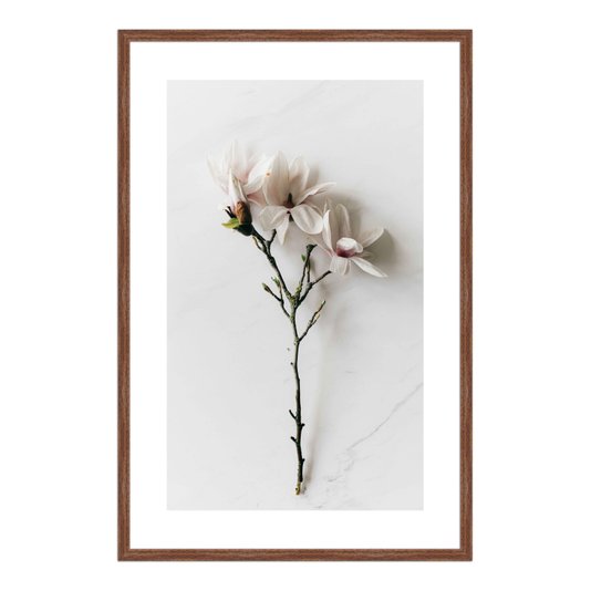 Quadro Decorativo Natureza Minimalista Flores