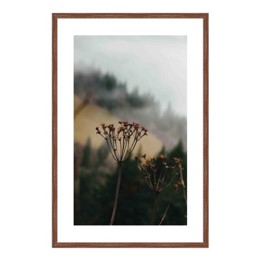 Quadro Decorativo Natureza Minimalista Flores