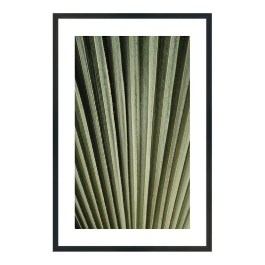 Quadro Decorativo Natureza Minimalista Folha Verde