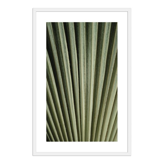 Quadro Decorativo Natureza Minimalista Folha Verde