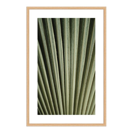 Quadro Decorativo Natureza Minimalista Folha Verde