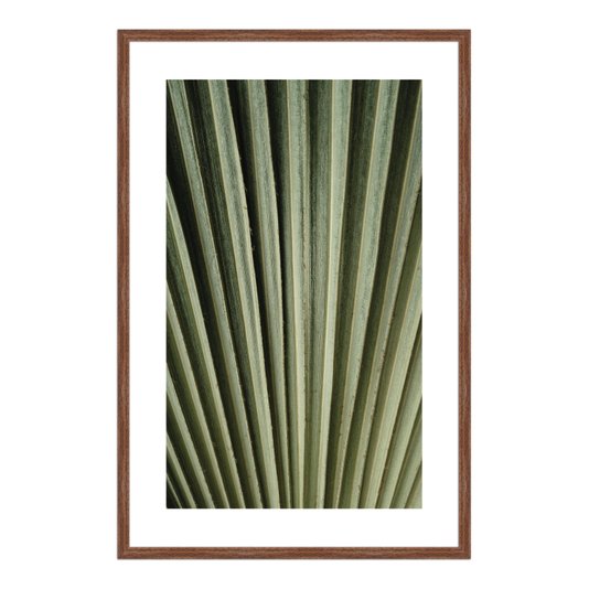 Quadro Decorativo Natureza Minimalista Folha Verde