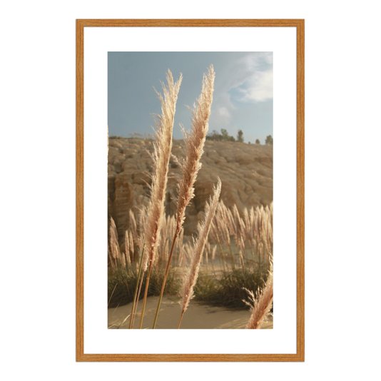 Quadro Decorativo Natureza Minimalista Plantas Secas