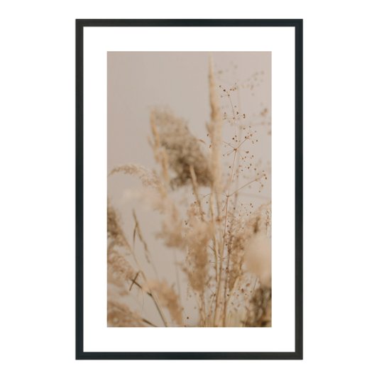 Quadro Decorativo Natureza Minimalista Plantas Secas