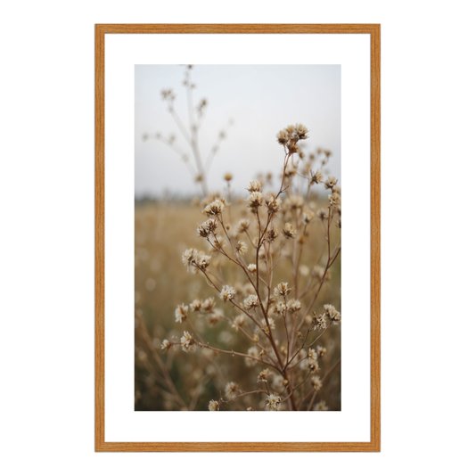 Quadro Decorativo Natureza Minimalista Plantas Secas