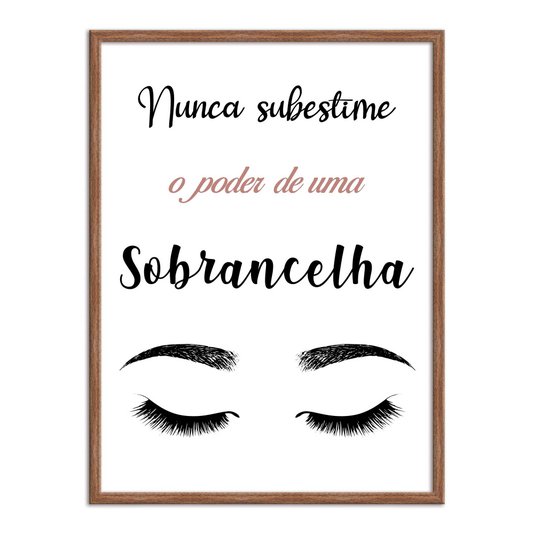 Quadro Decorativo Nunca Subestime O Poder De Uma Sobrancelha