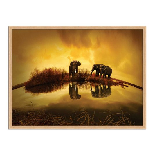 Quadro Decorativo Paisagem Elefantes