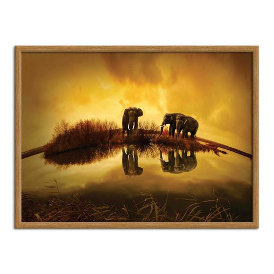 Quadro Decorativo Paisagem Elefantes