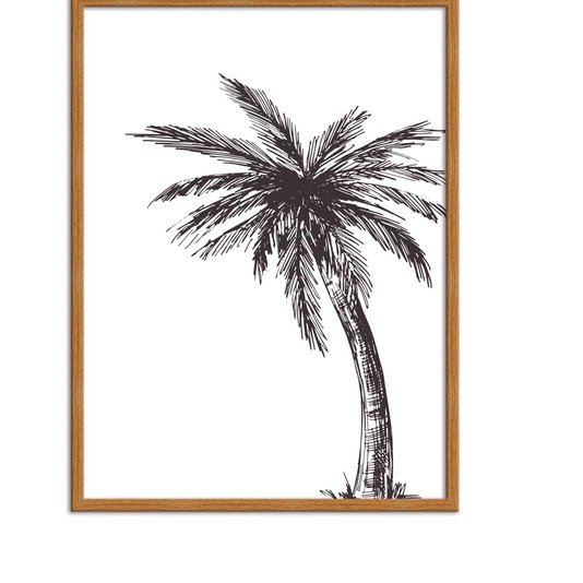 Quadro Decorativo Palmeira