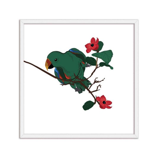 Quadro Decorativo Papagaio E Flores