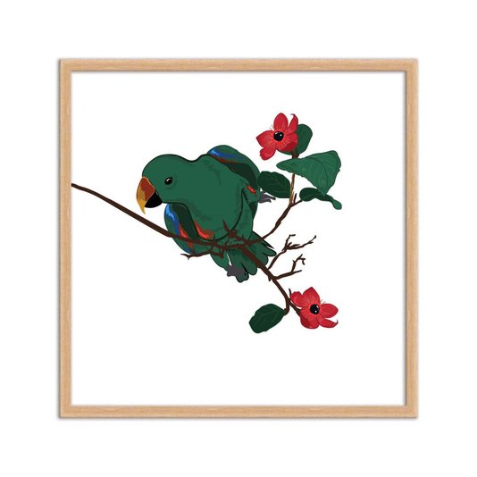 Quadro Decorativo Papagaio E Flores