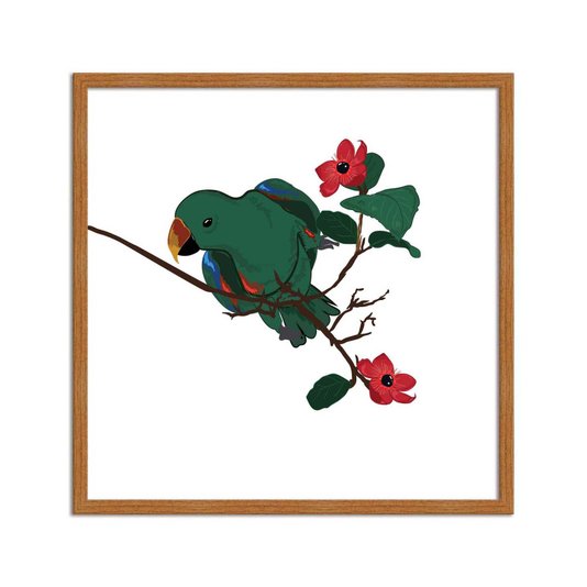 Quadro Decorativo Papagaio E Flores