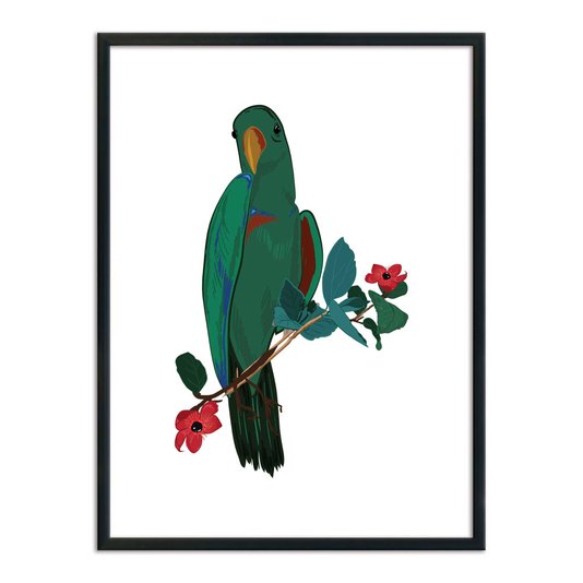 Quadro Decorativo Papagaio Verde