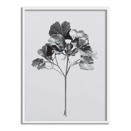Quadro Decorativo Papel de Parede Folhagem Natureza
