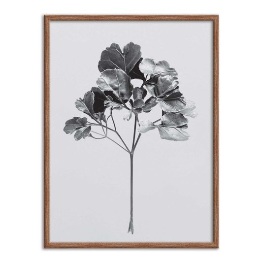 Quadro Decorativo Papel de Parede Folhagem Natureza
