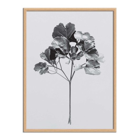 Quadro Decorativo Papel de Parede Folhagem Natureza