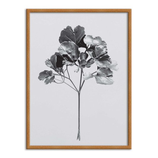 Quadro Decorativo Papel de Parede Folhagem Natureza