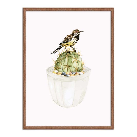 Quadro Decorativo Pássaro Sobre Cactus