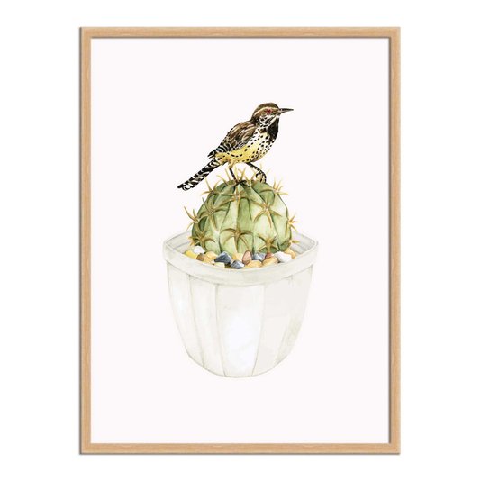 Quadro Decorativo Pássaro Sobre Cactus
