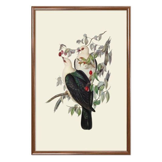 Quadro Decorativo Pombos De Fruta Vintage
