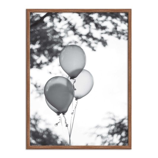 Quadro Decorativo Preto e Branco Balões em Parque