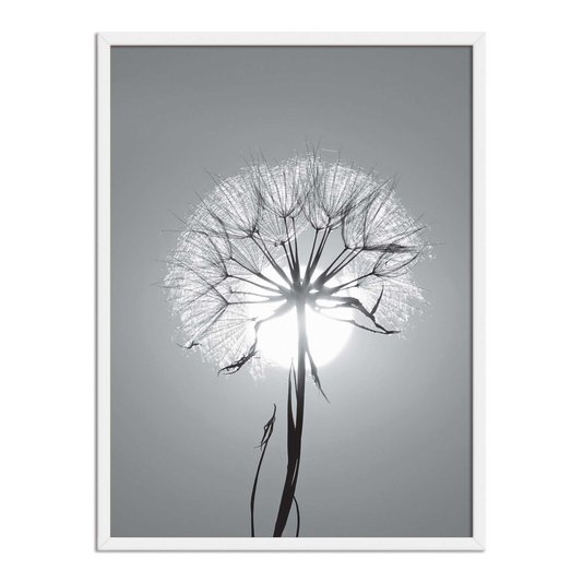 Quadro Decorativo Preto e Branco Dente de Leão em Frente ao Sol