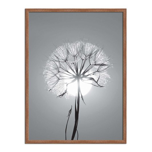 Quadro Decorativo Preto e Branco Dente de Leão em Frente ao Sol