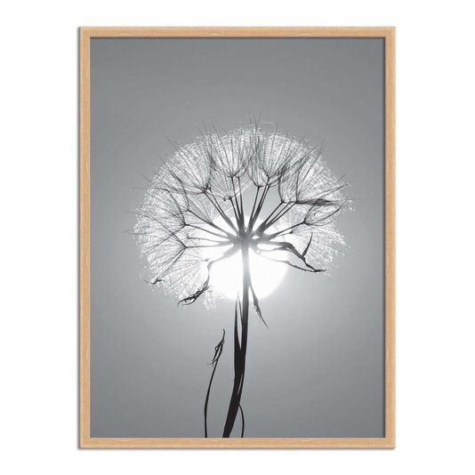 Quadro Decorativo Preto e Branco Dente de Leão em Frente ao Sol