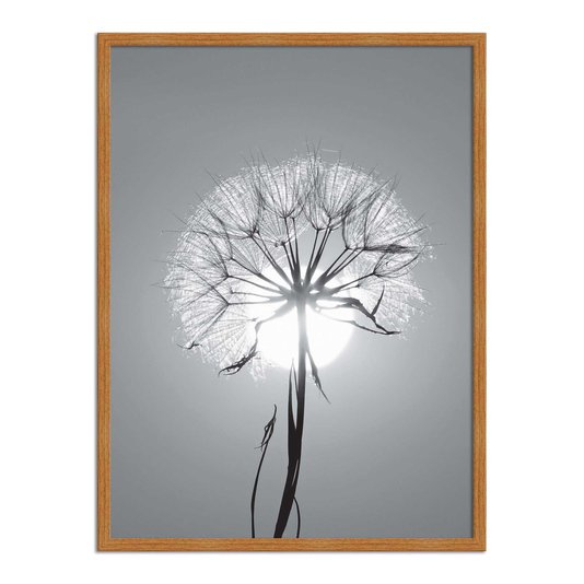 Quadro Decorativo Preto e Branco Dente de Leão em Frente ao Sol