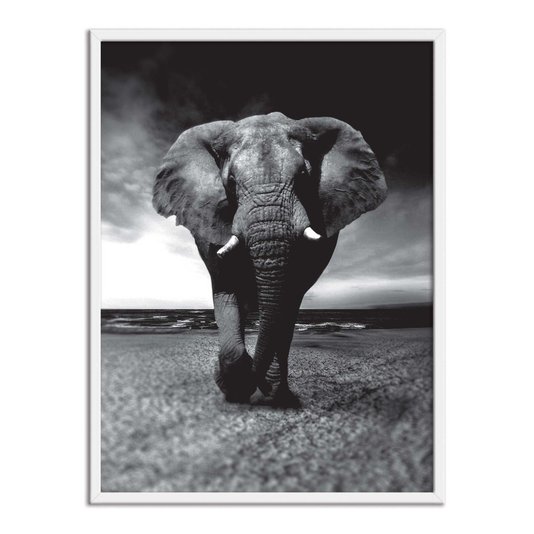 Quadro Decorativo Preto e Branco Elefante Caminhando