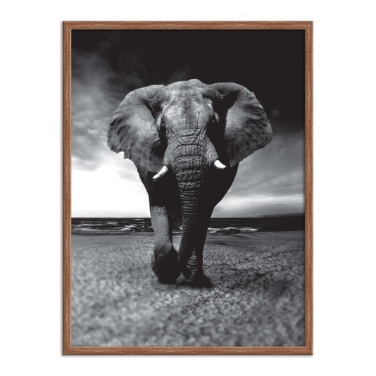 Quadro Decorativo Preto e Branco Elefante Caminhando