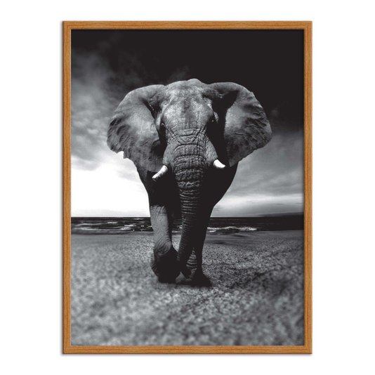 Quadro Decorativo Preto e Branco Elefante Caminhando