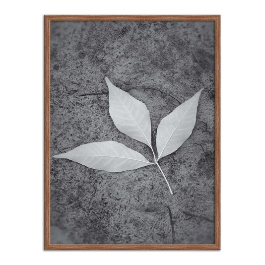 Quadro Decorativo Preto e Branco Folha ao Chão