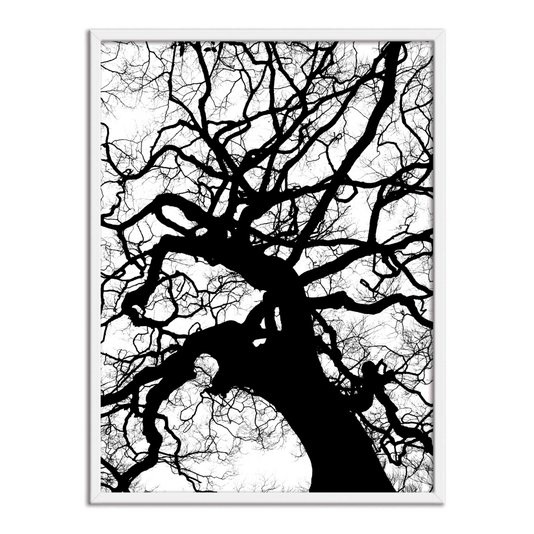 Quadro Decorativo Preto e Branco Galhos de Árvore