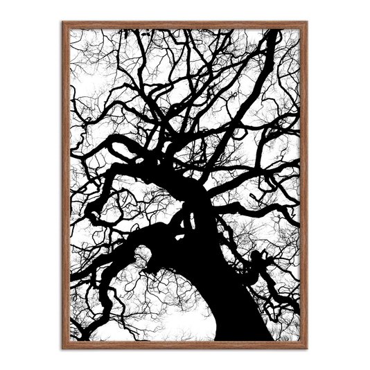 Quadro Decorativo Preto e Branco Galhos de Árvore