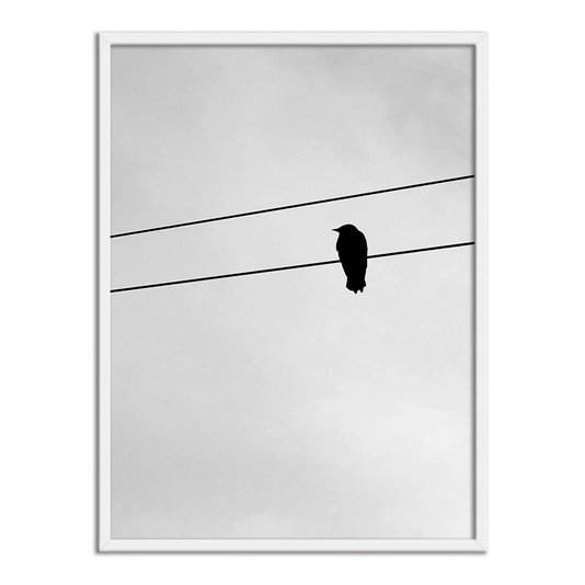 Quadro Decorativo Preto e Branco Pássaro em Fio Elétrico