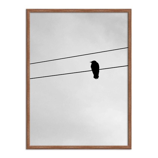 Quadro Decorativo Preto e Branco Pássaro em Fio Elétrico