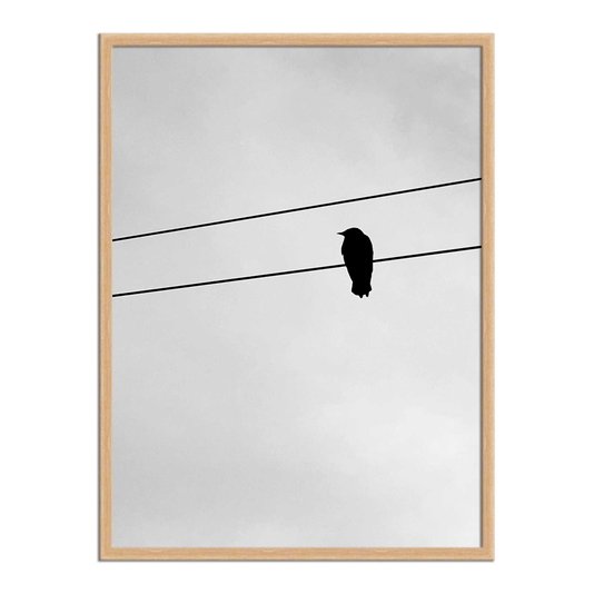 Quadro Decorativo Preto e Branco Pássaro em Fio Elétrico