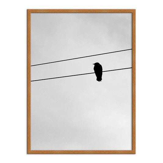 Quadro Decorativo Preto e Branco Pássaro em Fio Elétrico