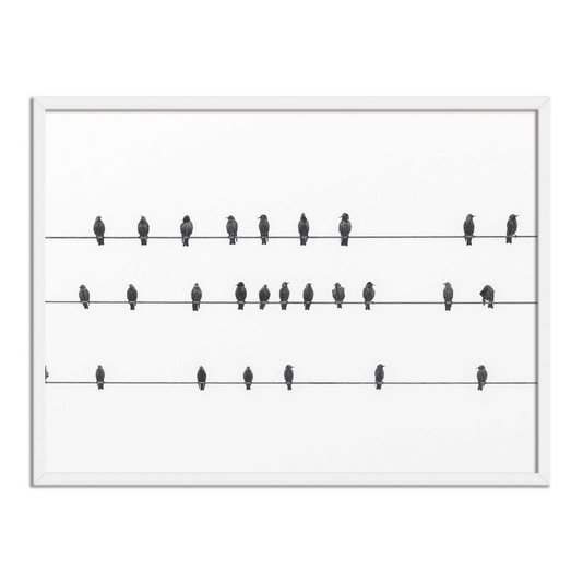 Quadro Decorativo Preto e Branco Pássaros em Fio Elétrico