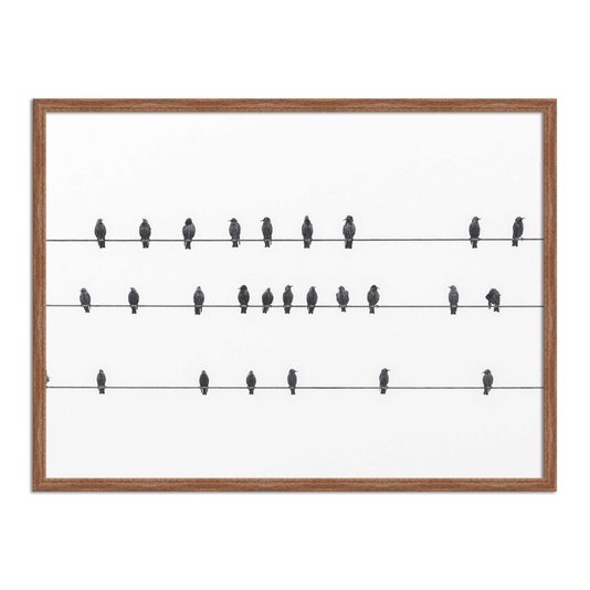 Quadro Decorativo Preto e Branco Pássaros em Fio Elétrico