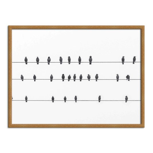 Quadro Decorativo Preto e Branco Pássaros em Fio Elétrico