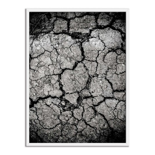 Quadro Decorativo Preto e Branco Solo Árido Rachado