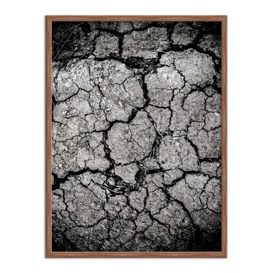 Quadro Decorativo Preto e Branco Solo Árido Rachado