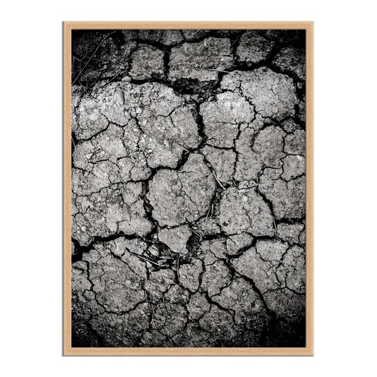 Quadro Decorativo Preto e Branco Solo Árido Rachado