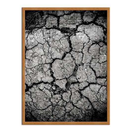 Quadro Decorativo Preto e Branco Solo Árido Rachado