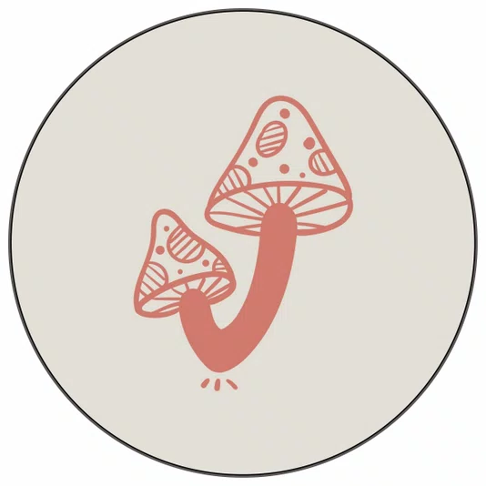 Quadro Decorativo Redondo Cogumelo Boho