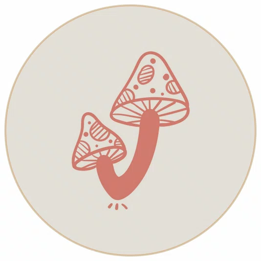 Quadro Decorativo Redondo Cogumelo Boho